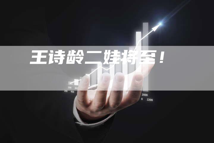 王诗龄二娃将至！